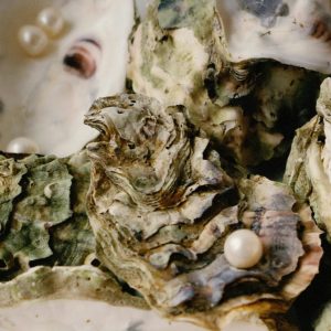 Sea Pearls